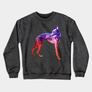 Purple & Red Waves Whippet Crewneck Sweatshirt